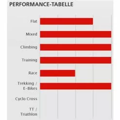 DT-Swiss RR421 Db DISC Asymmetric Hohlkammer Felge 28" 700c -Ridea Verkäufe dt swiss rr421db 2