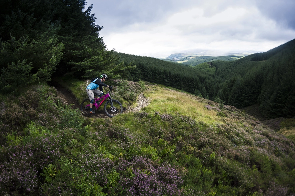 Ridea Verkäufe 17 Ridea Verkäufe -Ridea Verkäufe SM Tweed 362 1